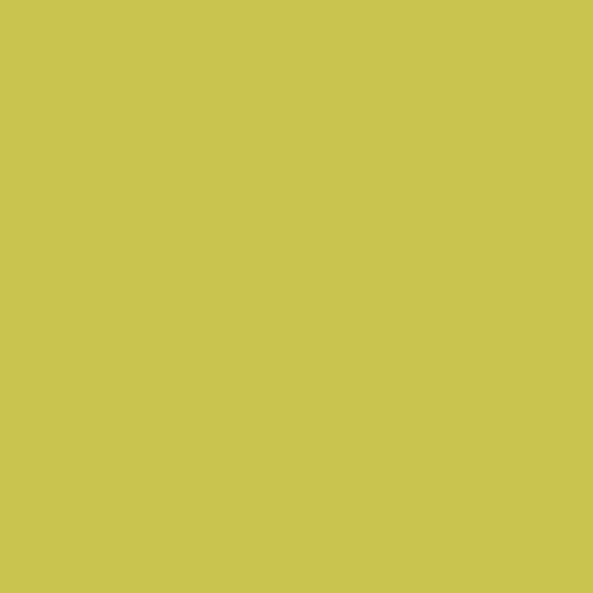 Dlažba Rako Color Two žlutozelená 20x20 cm